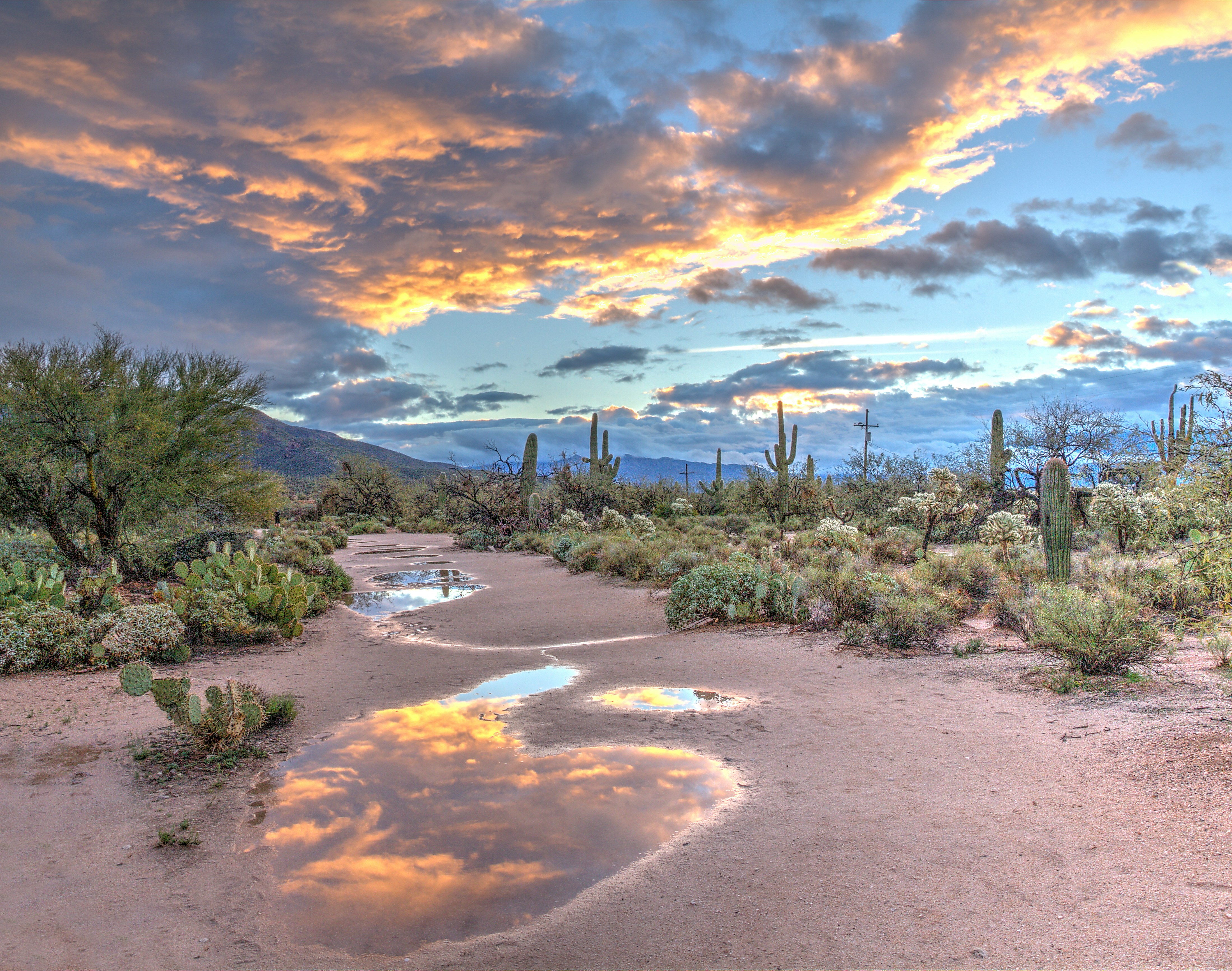 arizona sky